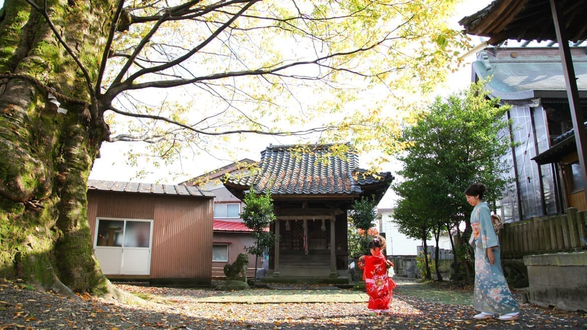 福井県越前市の上総社でのロケーションフォト