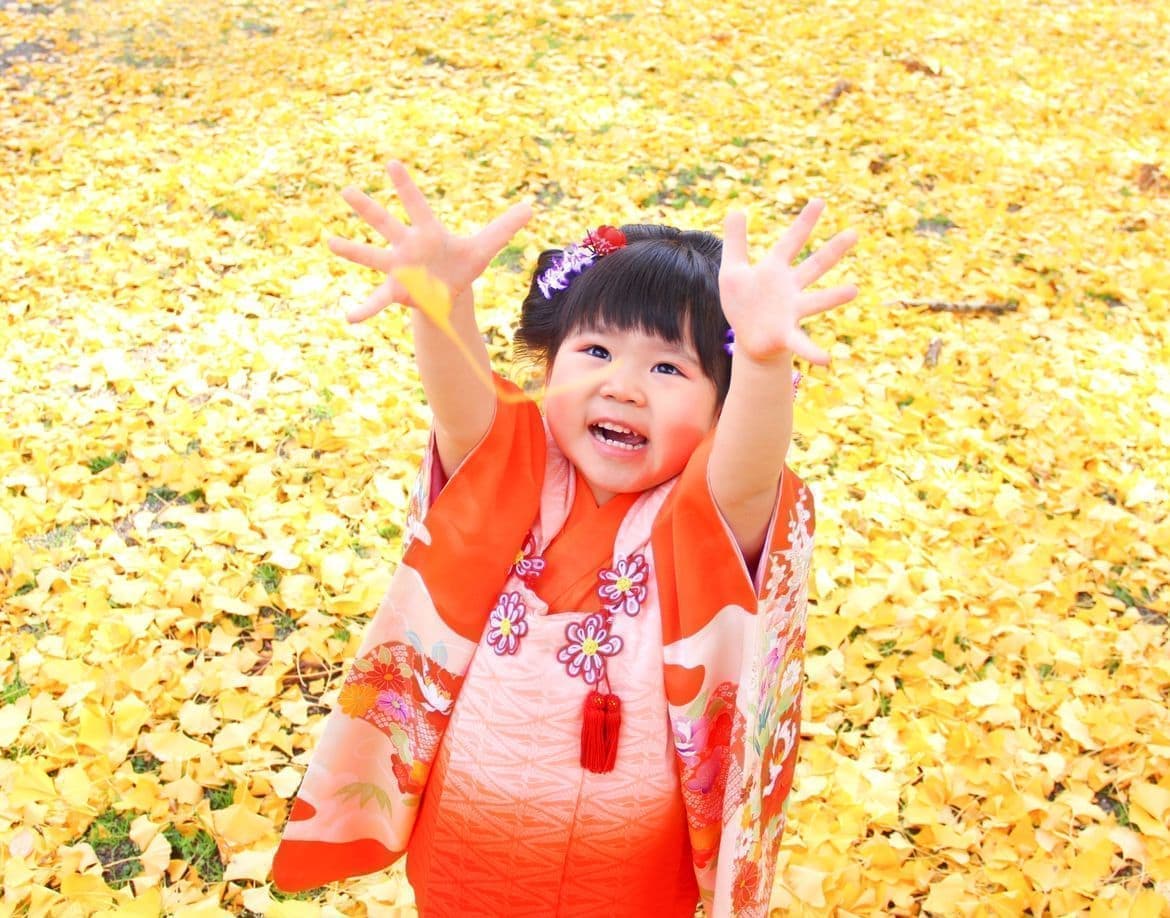 福井県越前市の銀杏の上で撮った七五三写真