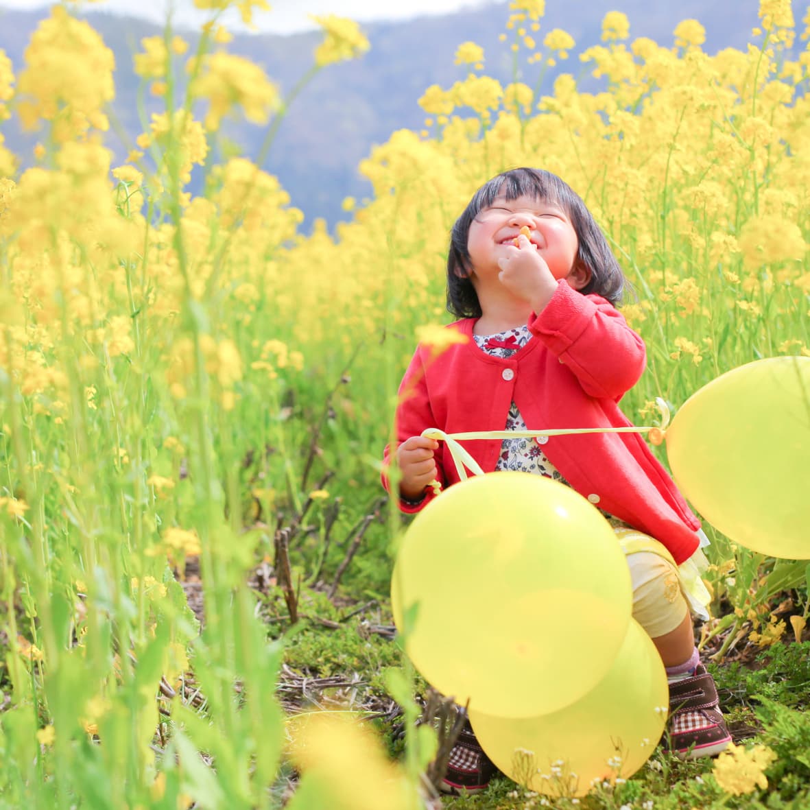菜の花畑でとった子供のかわいい写真