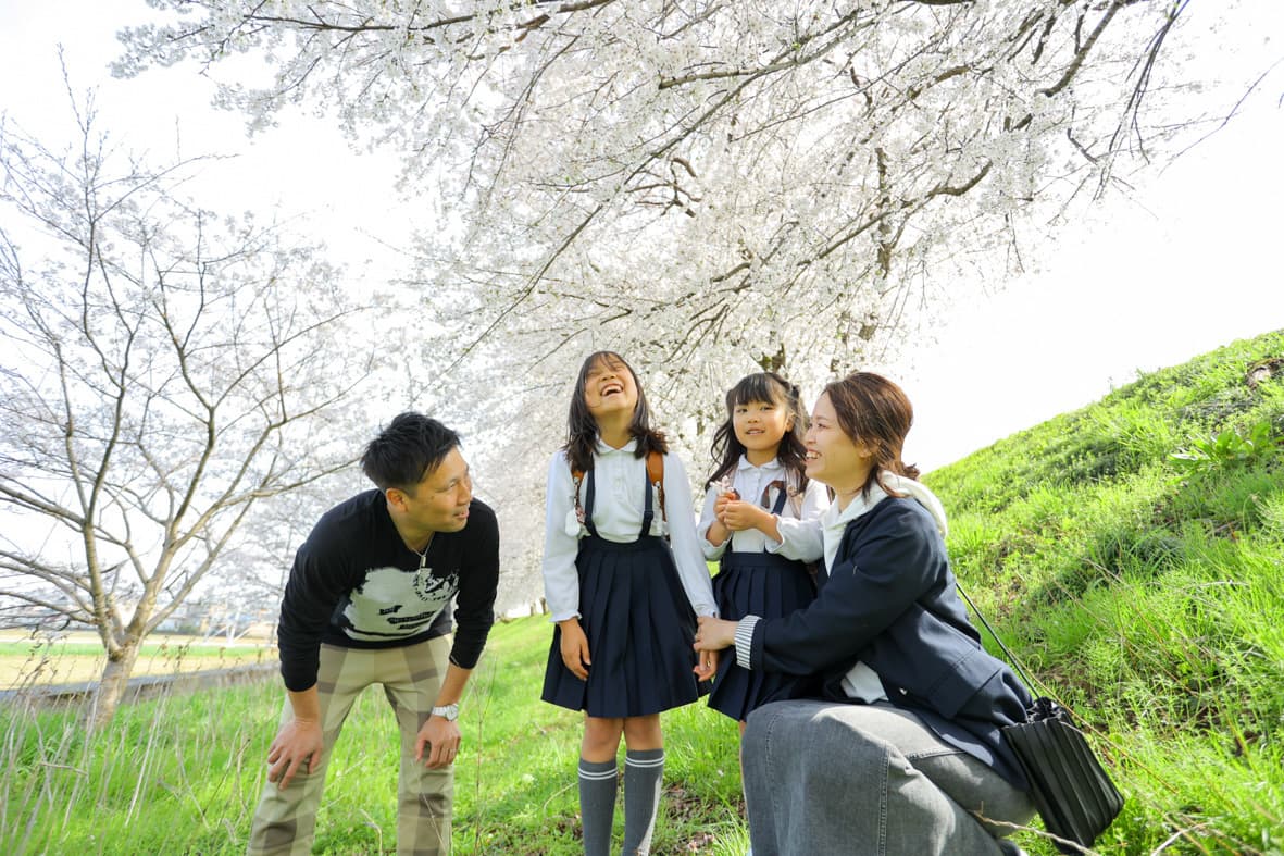 鯖江市の桜の下で撮った入学記念写真