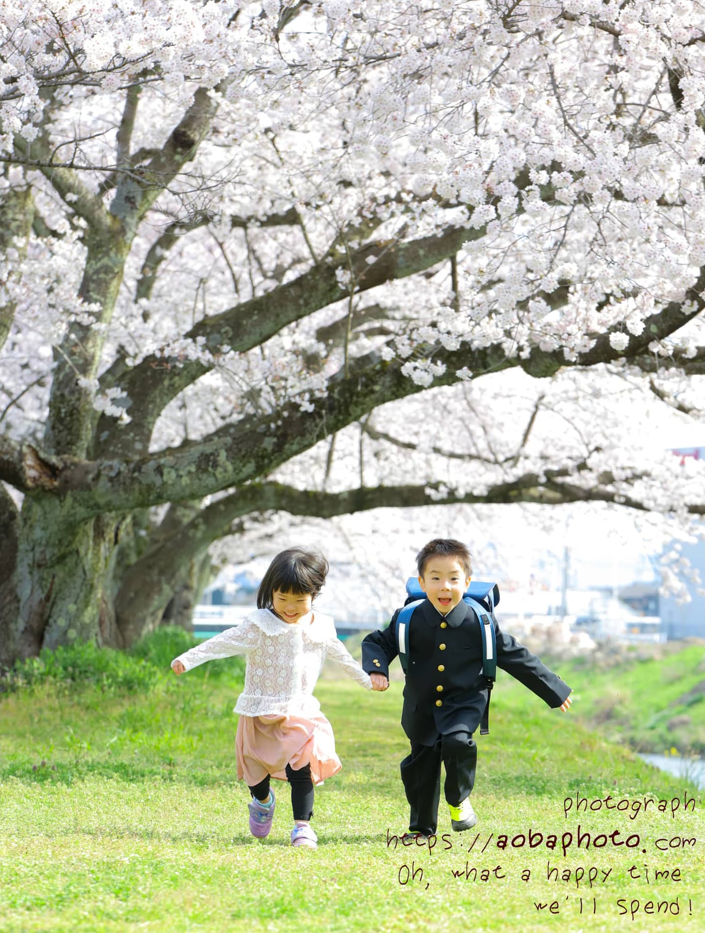 越前市の桜の下で撮った入学記念写真