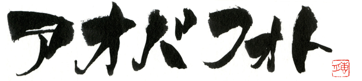 福井県越前市アオバフォトのロゴ