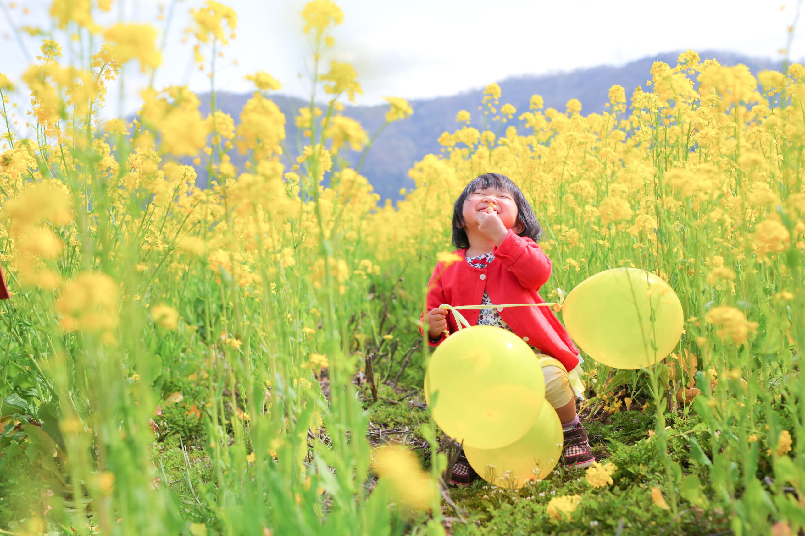 福井アオバフォトのカメラマンが鯖江市で撮った女の子の写真